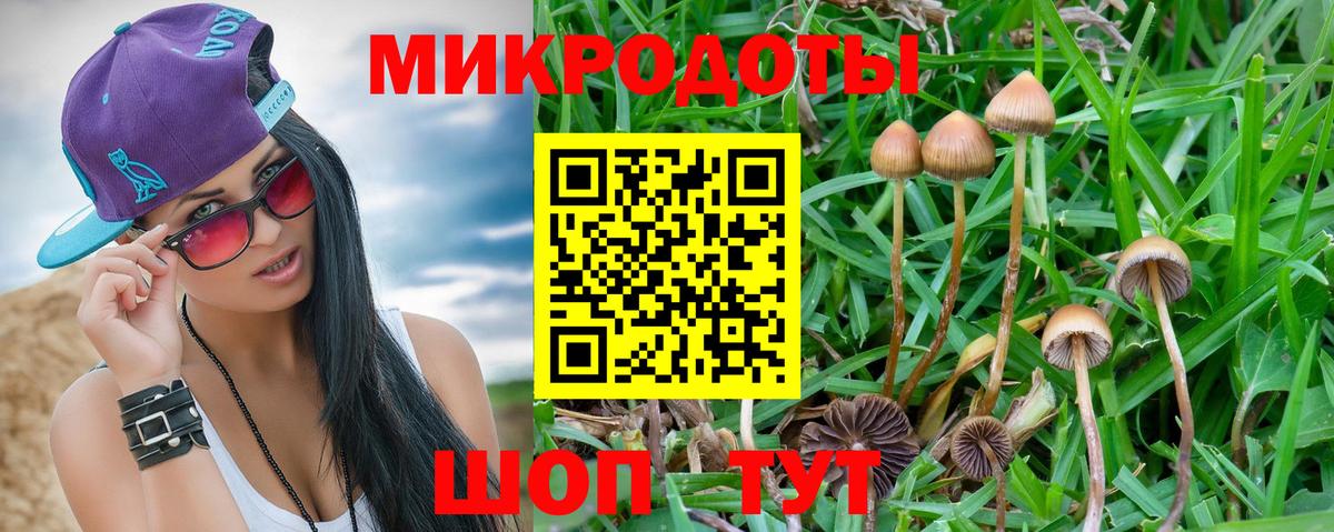 Кириши  Псилоцибиновые грибы Cubensis  Псилоцибиновые грибы прущие грибы  Вход с VPN 